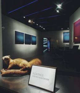 Adelheid Rumetshofer Sturm und Drang Galerie